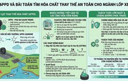 6PPD và bài toán tìm hóa chất thay thế an toàn cho ngành lốp xe