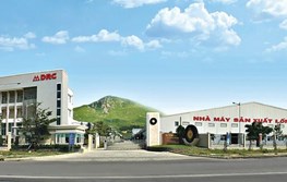 Cao su Đà Nẵng (DRC) lên kế hoạch lãi 124 tỷ đồng trong năm 2026