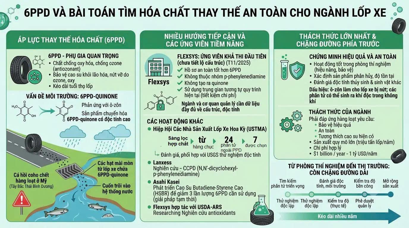 6PPD và bài toán tìm hóa chất thay thế an toàn cho ngành lốp xe