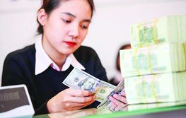 Nghị định 57/2026/NĐ-CP tạo xung lực mới giúp 20 tập đoàn tổng công ty nhà nước lột xác